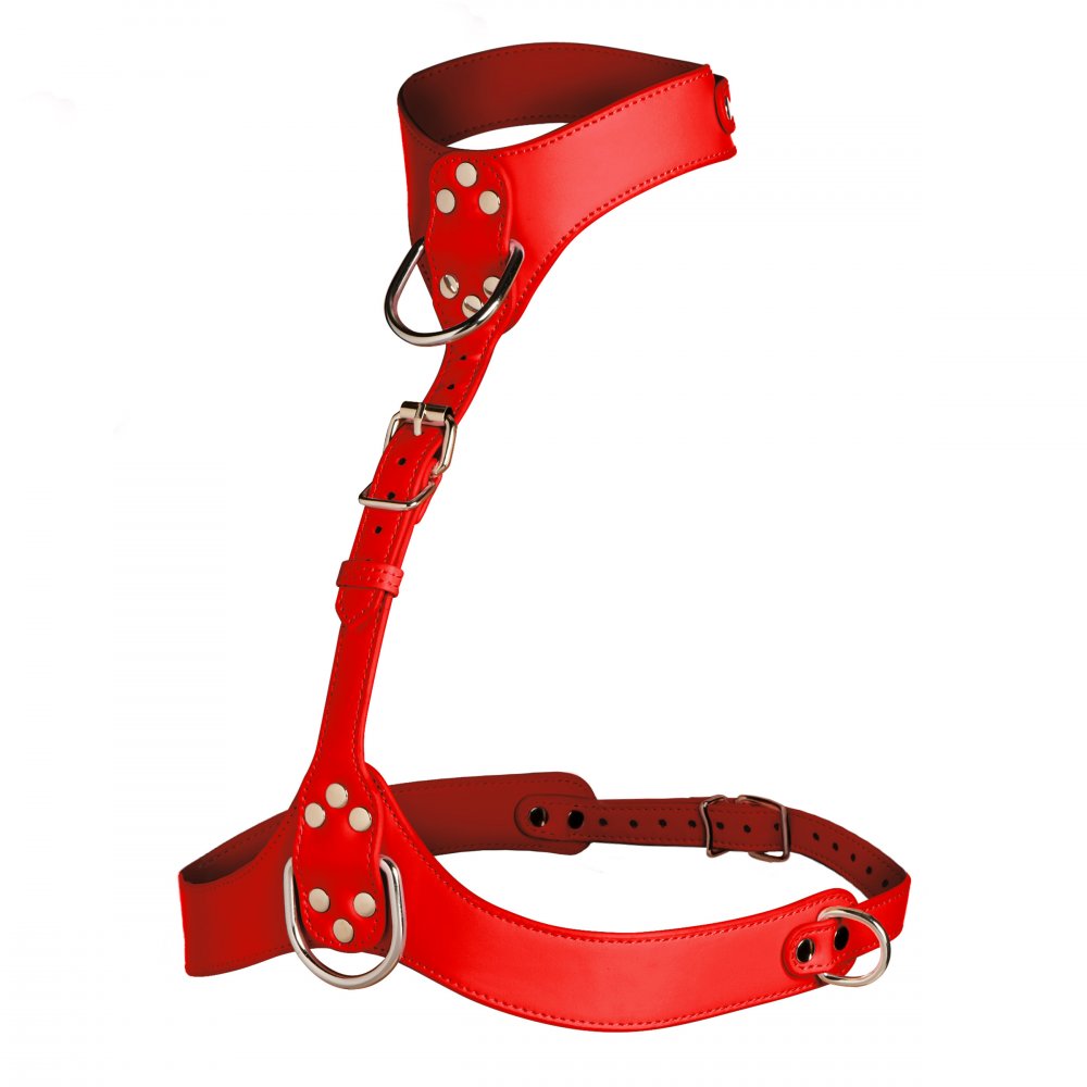 Master Series Vixen Female Chest Harness