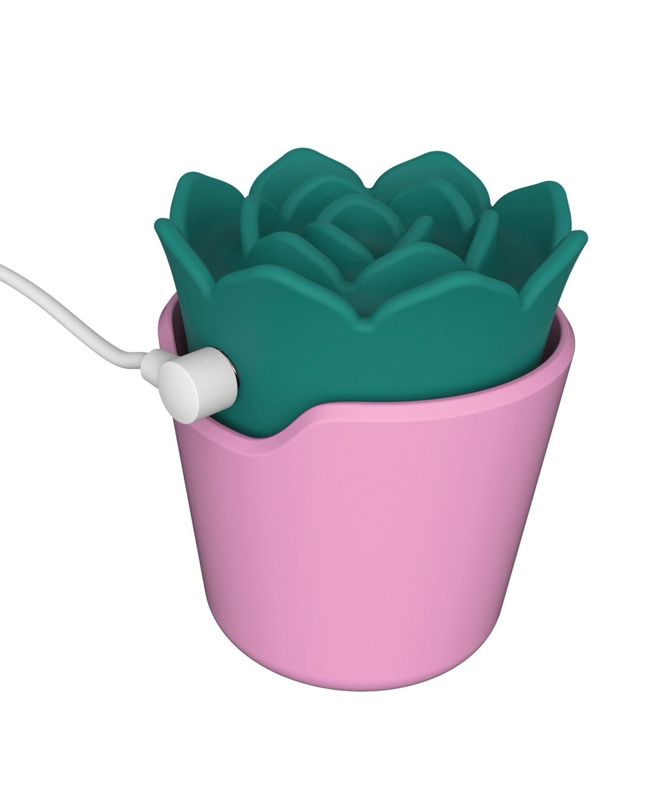 plusOne Succulent Arouser