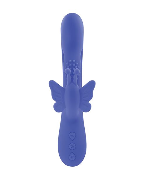 Evolved Butterfly Dreams