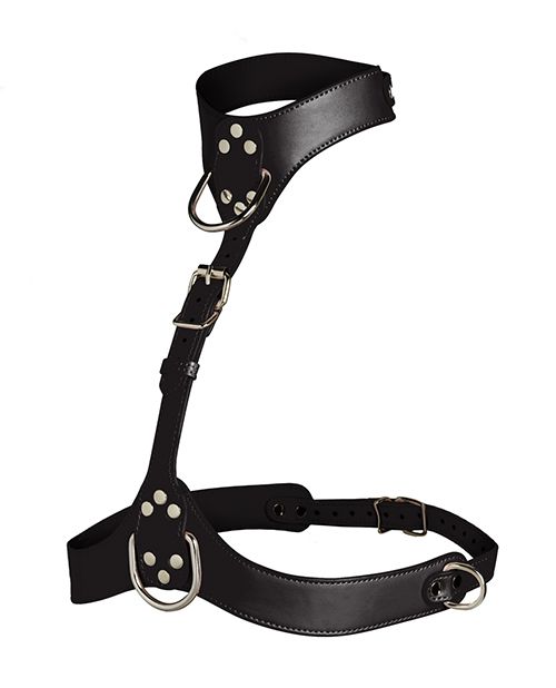 Master Series Vixen Female Chest Harness