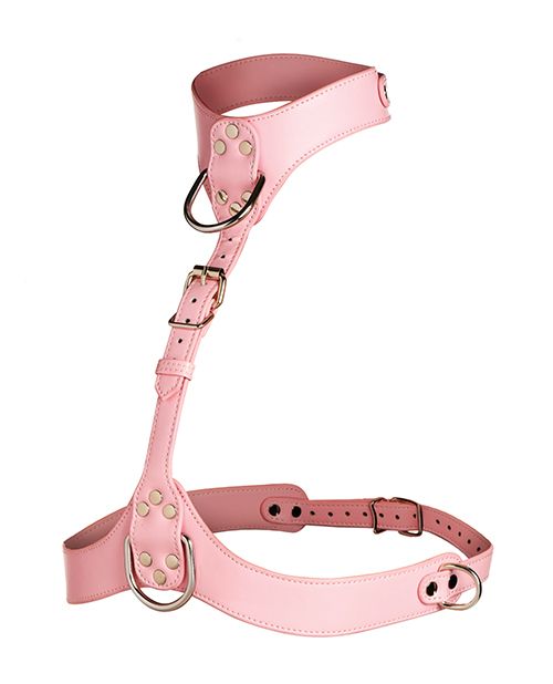 Master Series Vixen Female Chest Harness