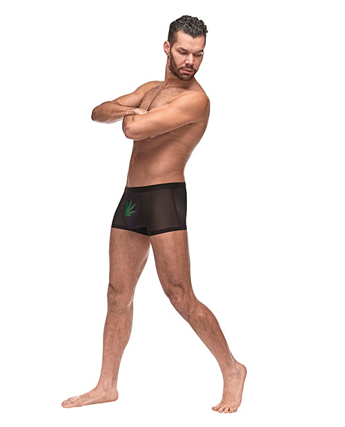 Male Power Private Screening Micro Mesh & Modal Pot Leaf