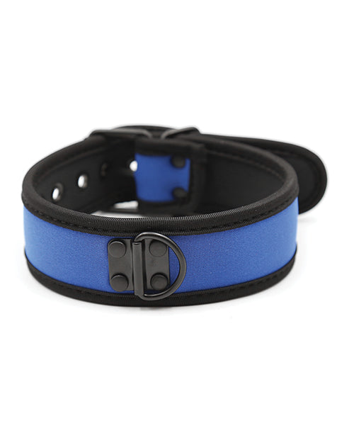Plesur Puppy Collar