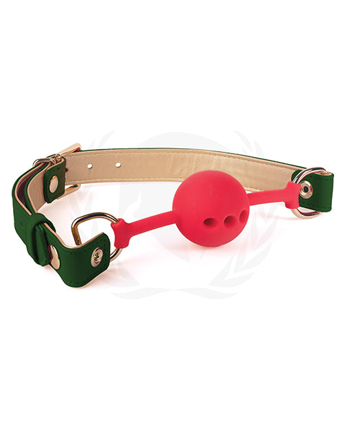 Silicone Ball Gag With PU Straps - Wicked Sensations