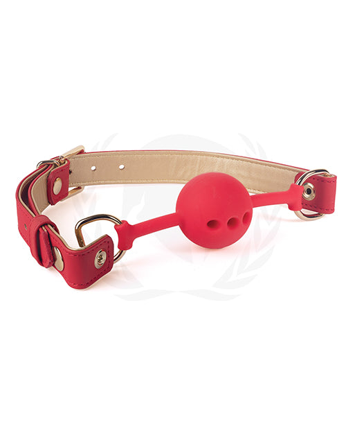 Silicone Ball Gag With PU Straps - Wicked Sensations