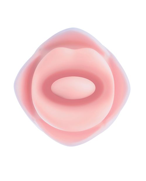 Blush Kissing Rose