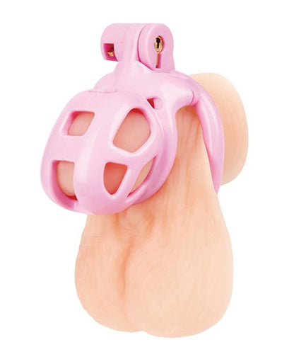 Blue Line Small Pink Humiliation Acrylic Prisoner Cock Cage