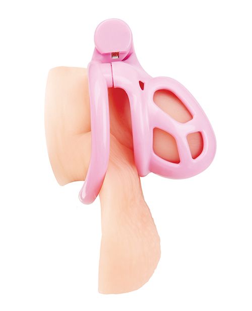 Blue Line Small Pink Humiliation Acrylic Prisoner Cock Cage
