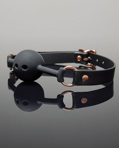 Pleasure Collection Adjustable Ball Gag