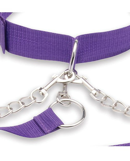 Lux Fetish Collar Cuffs & Leash Set