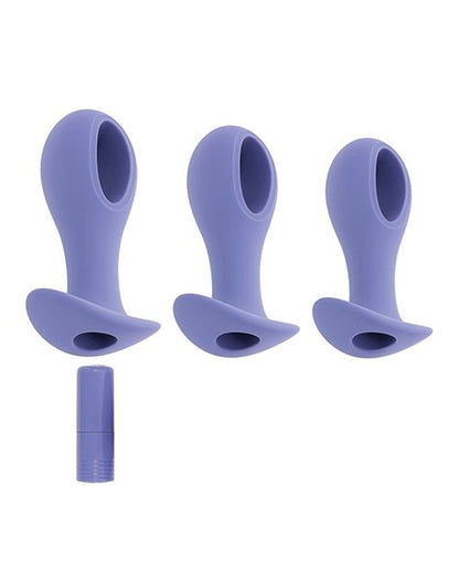 Evolved Hole Punch Anal Plug Set