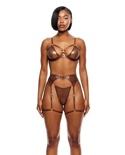 Forplay Liquid Metal Metallic Mesh 3 Piece Underwire Bra Set