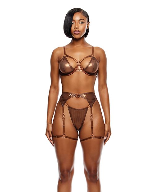 Forplay Liquid Metal Metallic Mesh 3 Piece Underwire Bra Set