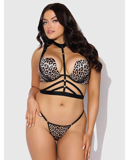 House of Desire Devon Push Up Bra With Harness & G-String