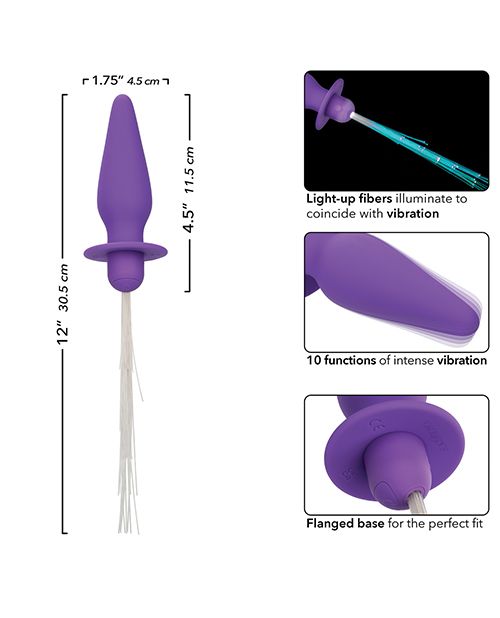 Southern Lights Rechargeable Vibrating Light Up Anal Probe