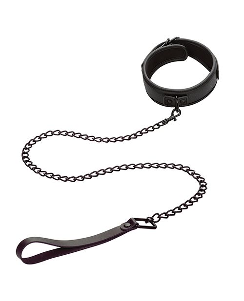 Nocturnal Detachable Collar and Leash