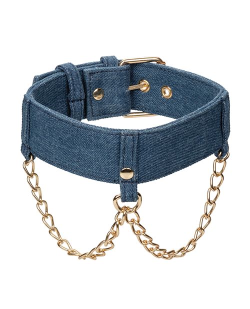 Ride 'Em Premium Denim Collection Collar With Leash