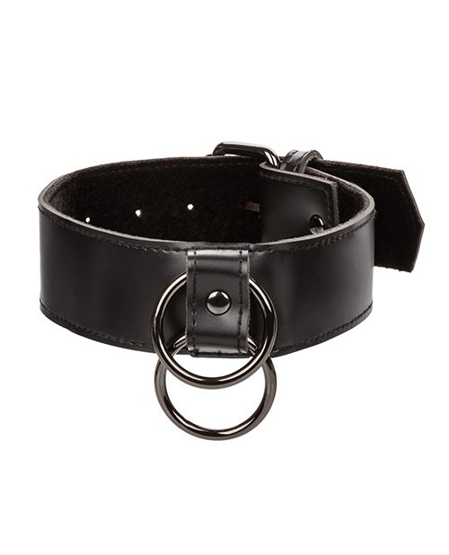 Euphoria Collection Collar With Chain Leash