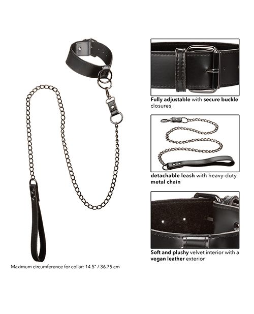 Euphoria Collection Collar With Chain Leash