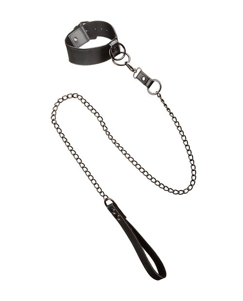 Euphoria Collection Collar With Chain Leash