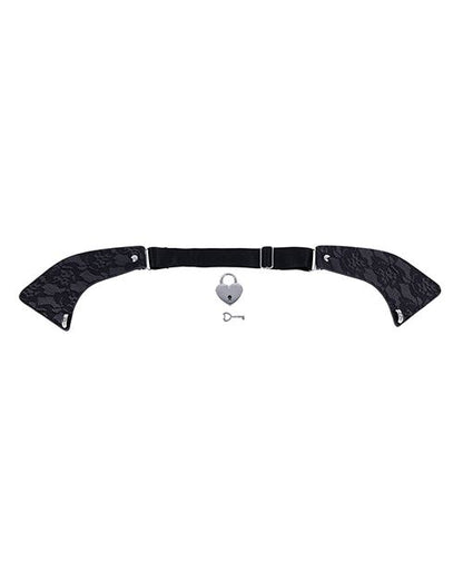 Sex and Mischief Heartbound Lace Day Collar