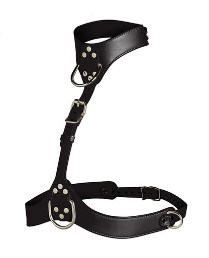 Master Series Vixen Female Chest Harness