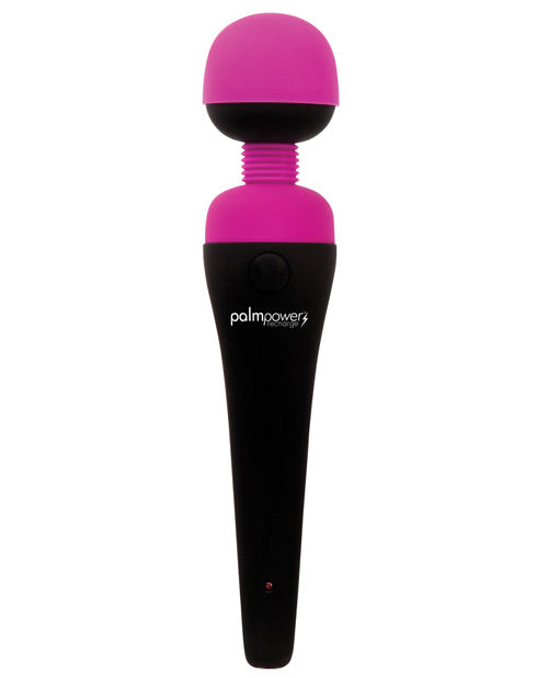 PalmPower Recharge Rechargeable Massager - Wicked Sensations