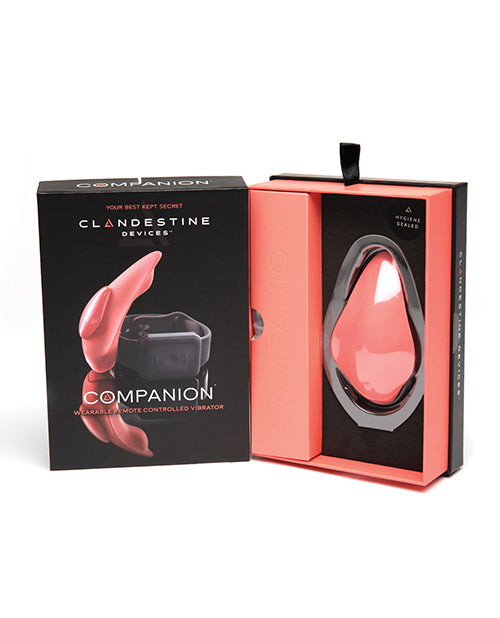 Clandestine Devices Companion Panty Vibe With Wearable Remote