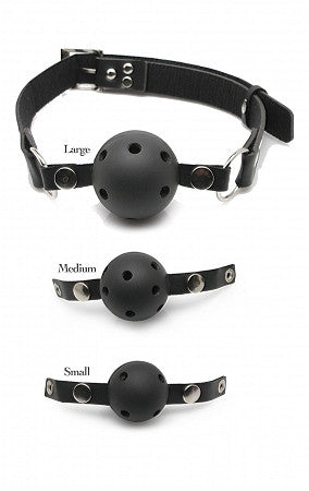 Ball Gag Training System - Wicked Sensations