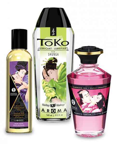 Shunga Fruity Kisses Collection Kit - Wicked Sensations