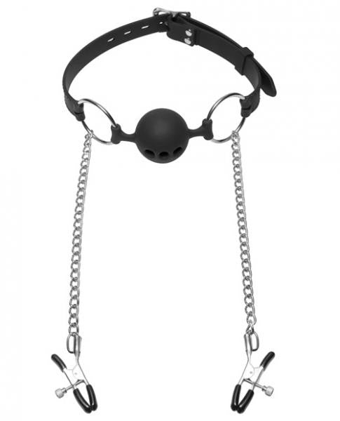 Hinder Ball Gag with Nipple Clamps - Wicked Sensations
