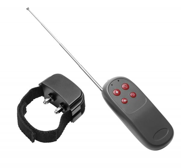Cock Shock Cock Ring - Wicked Sensations