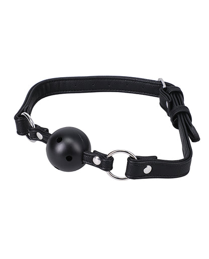 In a Bag Ball Gag