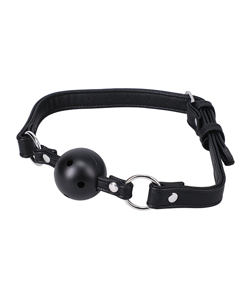 In a Bag Ball Gag