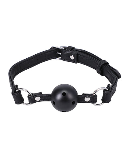 In a Bag Ball Gag