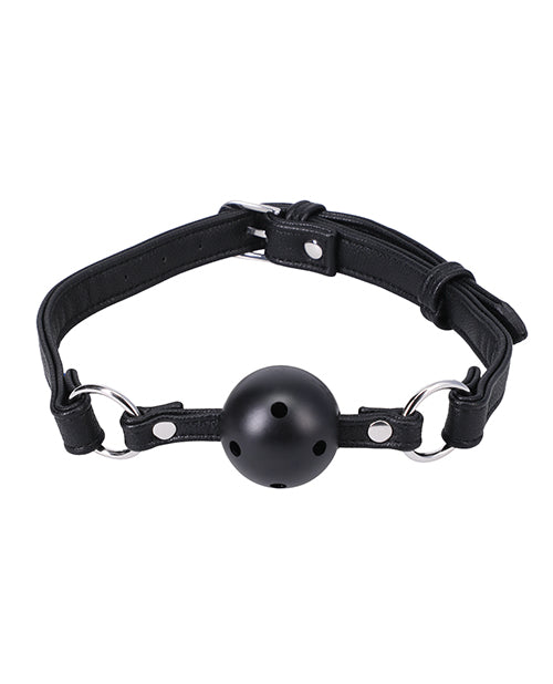 In a Bag Ball Gag