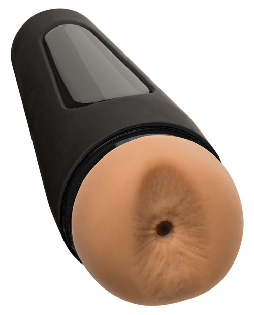 Man Squeeze Bear Ass - Wicked Sensations