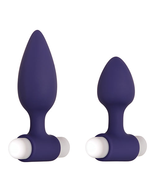 Dynamic Duo Rechargeable Butt Plugs - Wicked Sensations