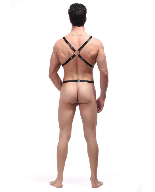 Male Power Rip Off Harness Set