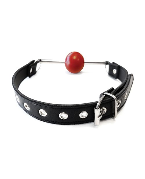 Rouge Leather Ball Gag with Stainless Steel Rod and Removable Ball