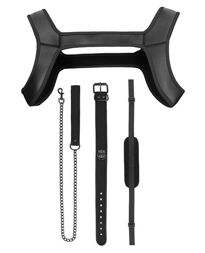 Ouch! Pupply Play Complete Kit