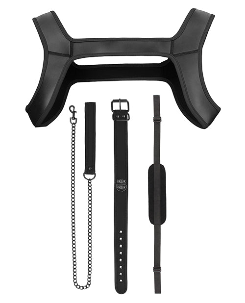 Ouch! Pupply Play Complete Kit