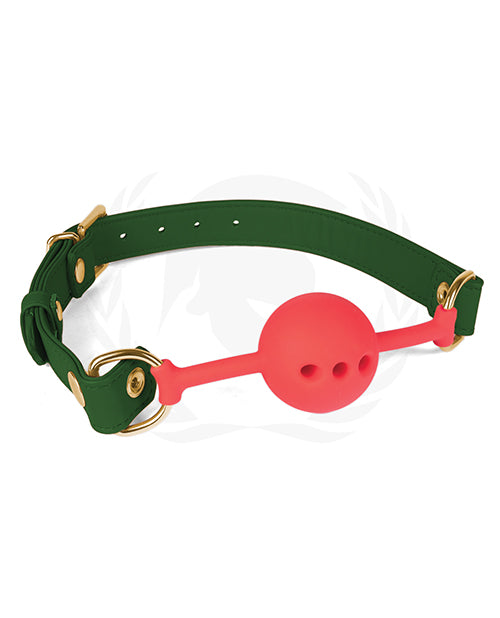 Silicone Ball Gag With PU Straps - Wicked Sensations