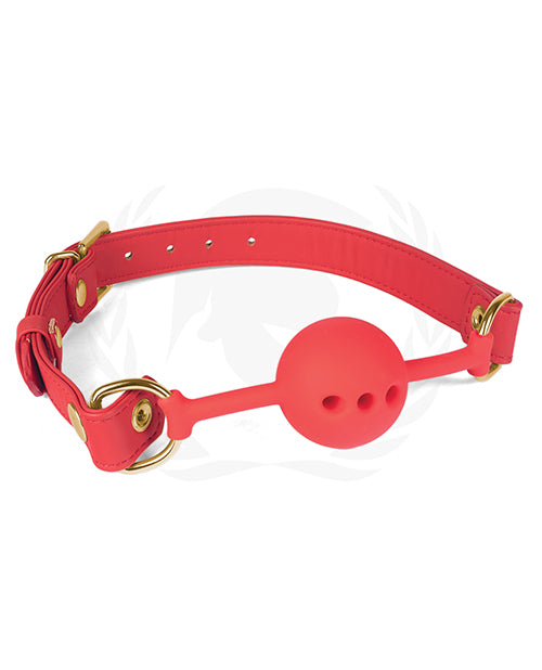 Silicone Ball Gag With PU Straps - Wicked Sensations